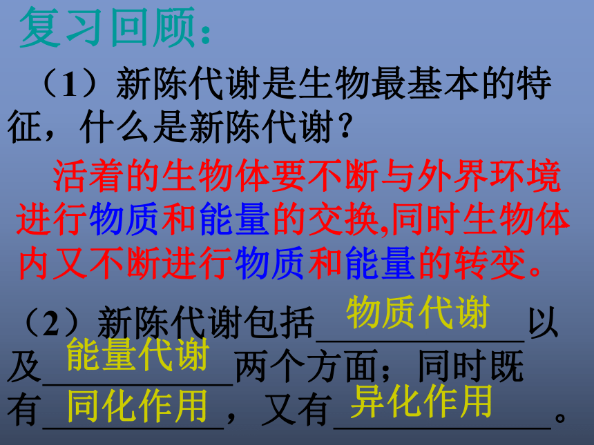 第六节 代谢的多样性(浙江省丽水地区龙泉市)