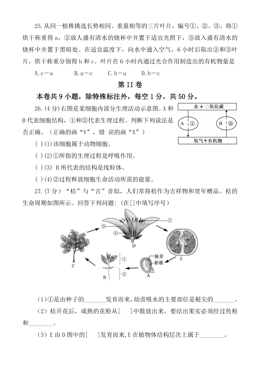 2017福建中考试卷（Word版，含答案）