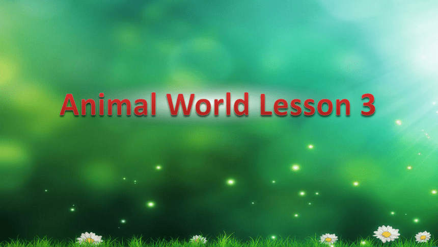 Unit 3 Animal World Lesson 3 课件