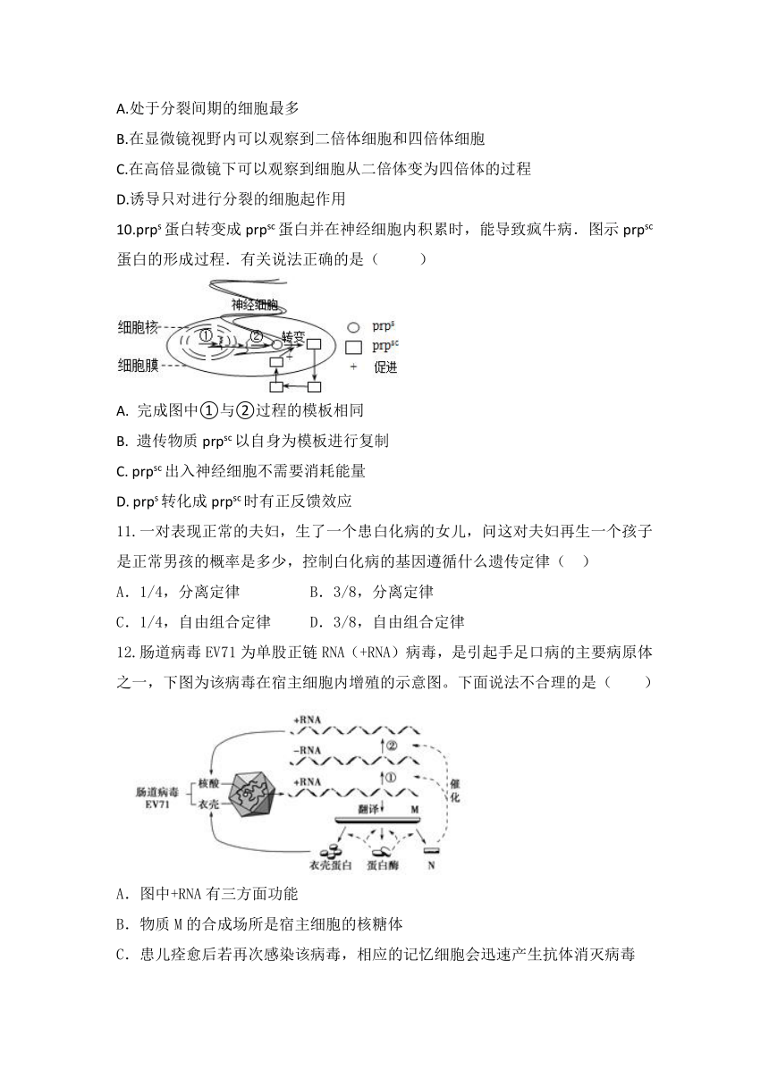 安徽省肥东高级中学2017-2018学年高一下学期第二学段考试生物试题