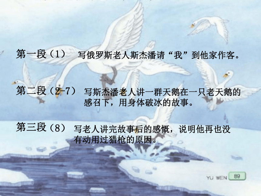 《天鹅的故事》课件