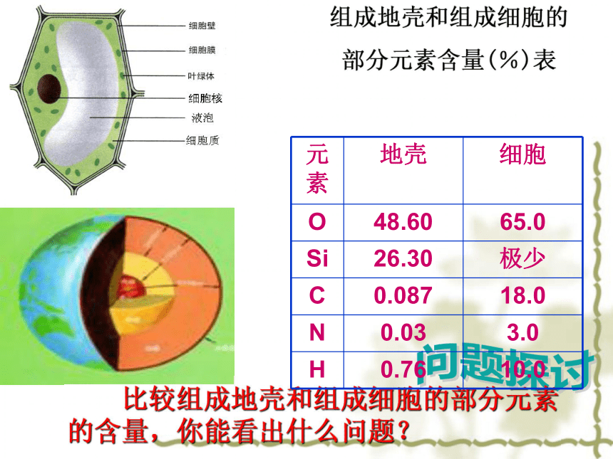 新人教版必修1高中生物第二章第1节《细胞中的元素和化合物》(32张PPT)