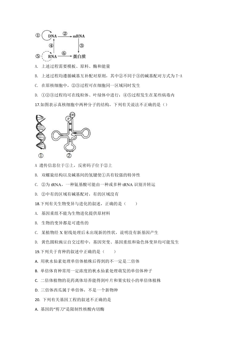 陕西省渭南市大荔县2019-2020学年高一下学期期末考试生物试卷