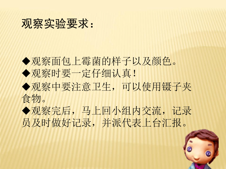 面包发霉了 课件