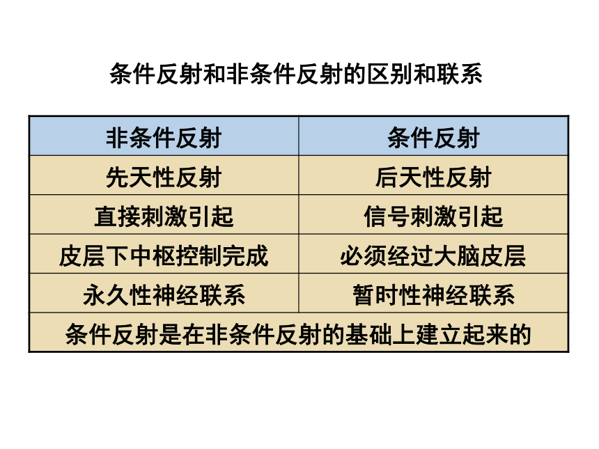 人教版高中生物必修三第2章第一节通过神经系统的调节 课件(共74张PPT)