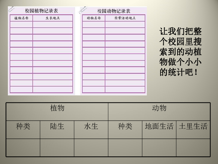 校园生物分布图 课件(共23张PPT)