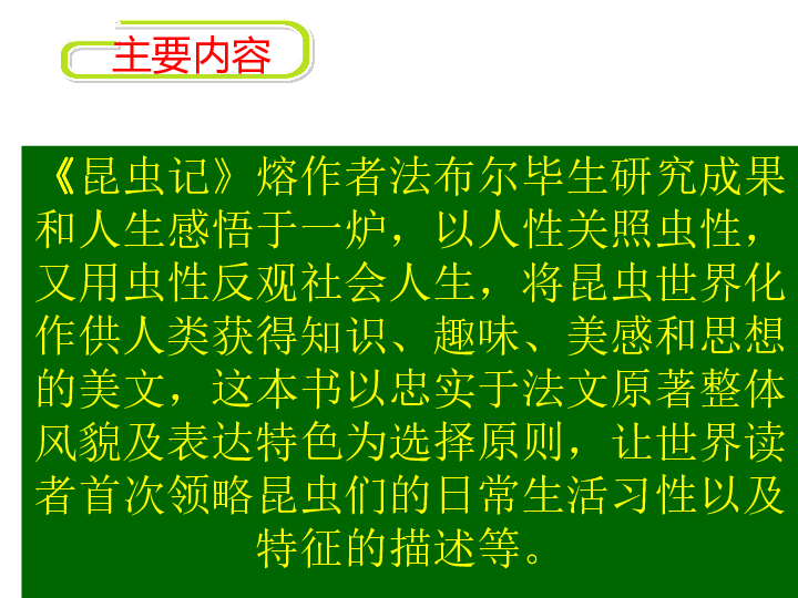 课件预览