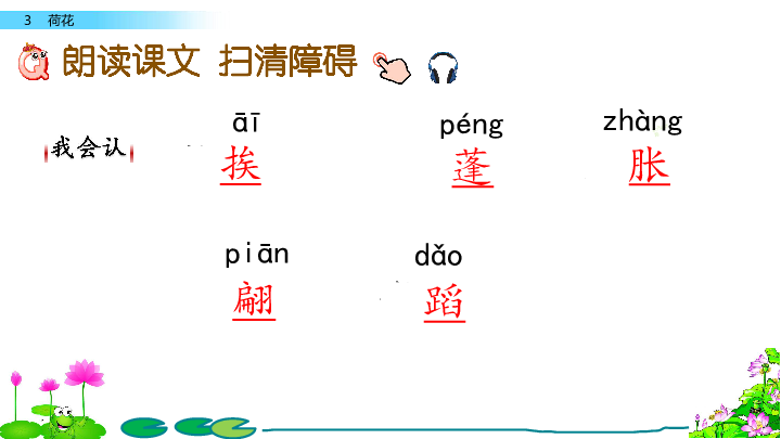 3 荷花 课件（53张PPT）