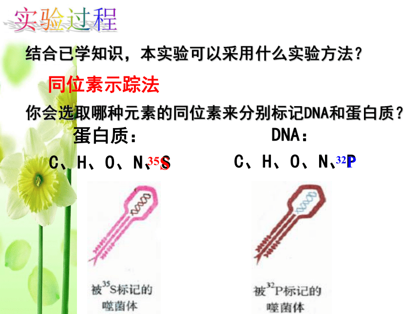 浙科版金华市江南中学选修2第三章第1节：核酸是遗传物质的证据