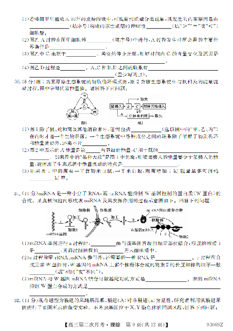 贵州省绥阳县2019届高三上学期第二次月考理综生物试题（PDF版）