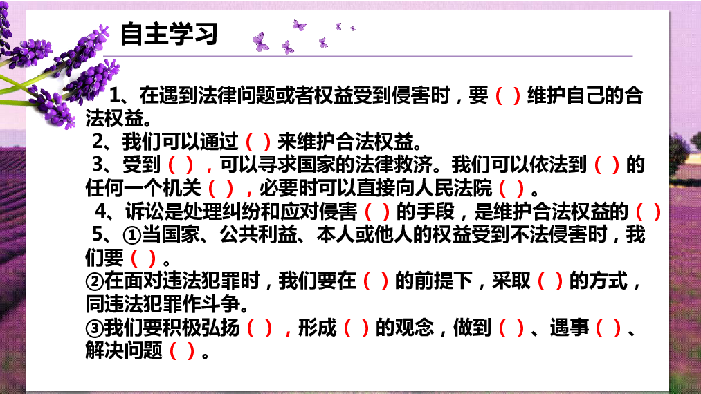 5.3善用法律课件 (共29张PPT)