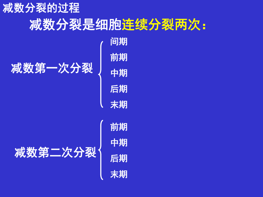 山东省日照市五莲中学2017届高三上学期生物一轮复习-减数分裂 课件 （共23张PPT）