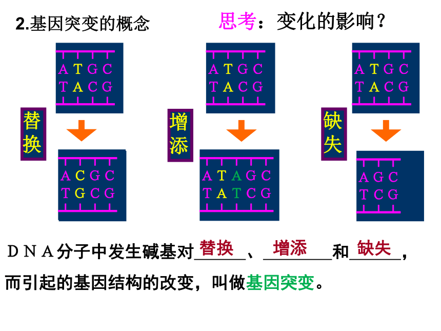 高中生物人教版必修二第五章第1节 基因突变和基因重组   课件(34张PPT)