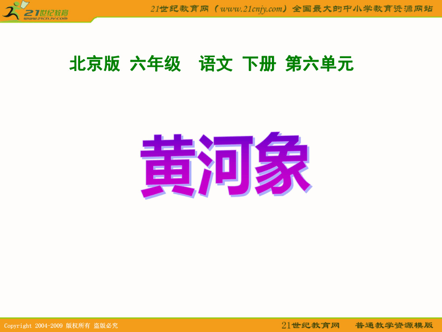六年级语文下册课件 黄河象 2（北京版）