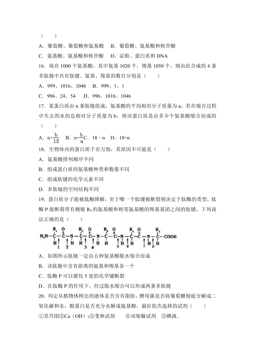 山东省菏泽市2016-2017学年高一（上）期中生物试卷（b卷）（解析版）