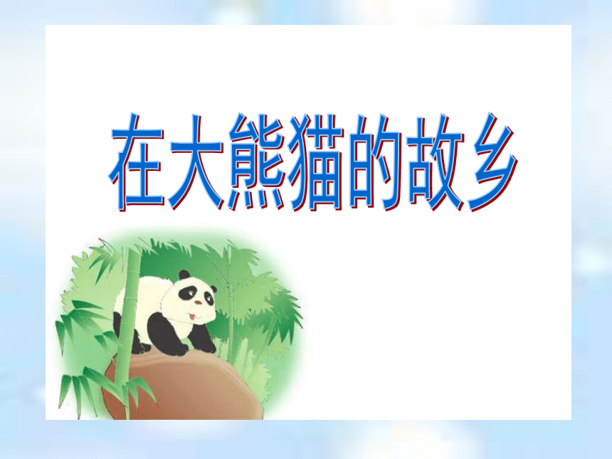《在大熊猫的故乡》课件 (共16张PPT)