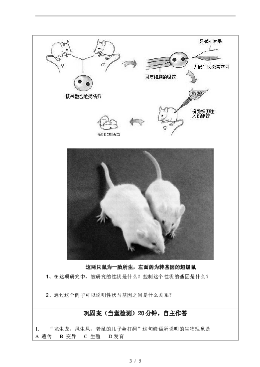 7.2.1《基因控制生物的性状》学案（无答案）