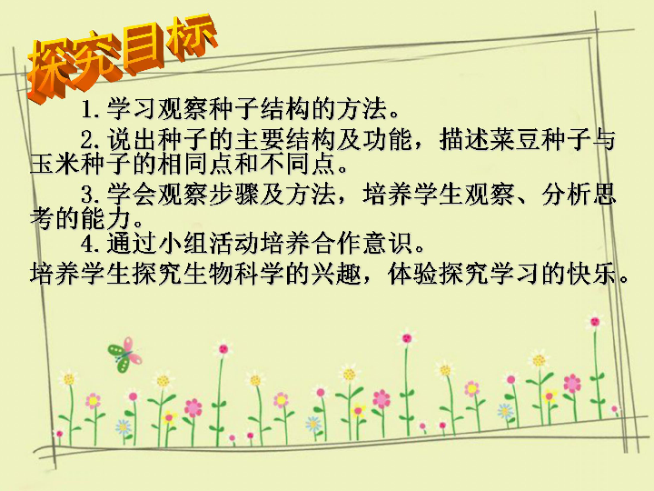 三年级上册科学课件-《果实和种子形成认识》课件2北京版(共20张PPT)