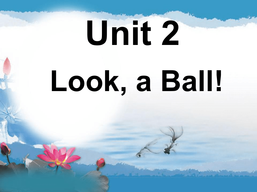 Unit 2 Look,a ball! 课件