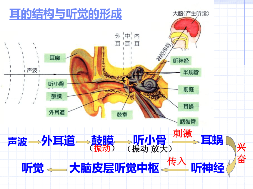 第一章 复习 练习[下学期]