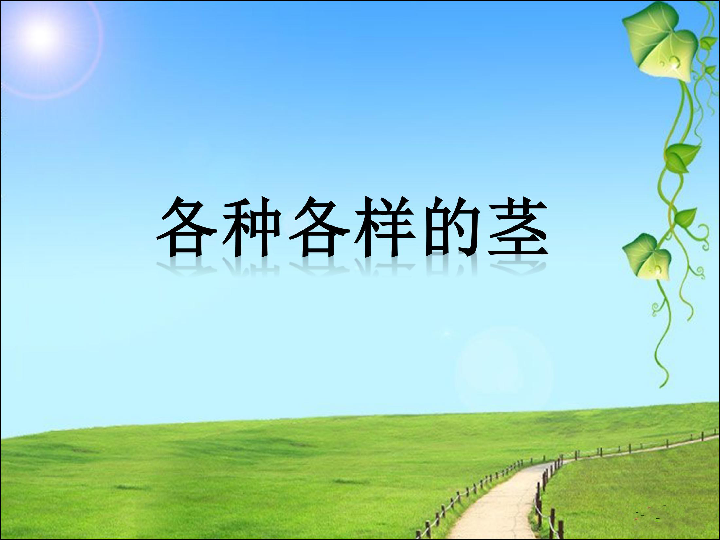 科学首师大版四年级上2.7.各种各样的茎课件（19张ppt）