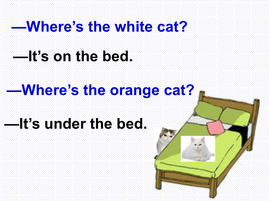 module3unit1wherestheorangecat課件17張ppt