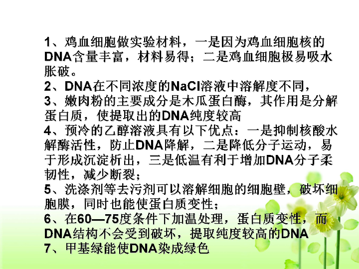 人教版高中生物选修1课件：专题5　DNA和蛋白质技术（选修一）
