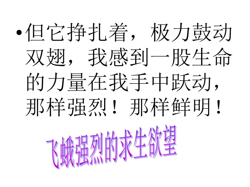 生命 生命  课件