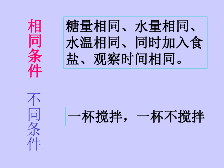 四年级上册科学课件-2.5 溶解的快与慢 ｜教科版 (共18张PPT)