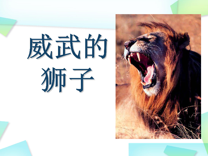 13威武的狮子 课件（20张幻灯片）