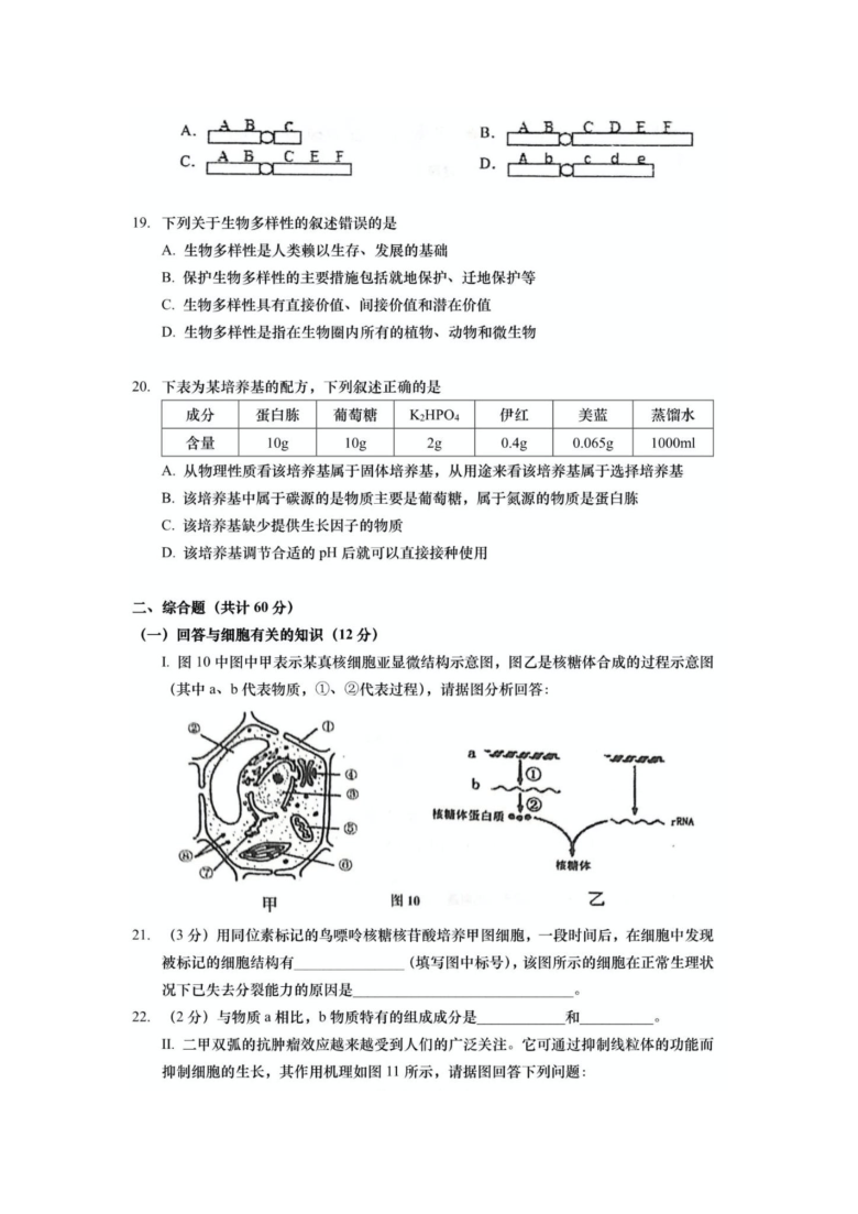 上海交大附中2020-2021学年高二上学期期中考试生物试题 图片版含答案