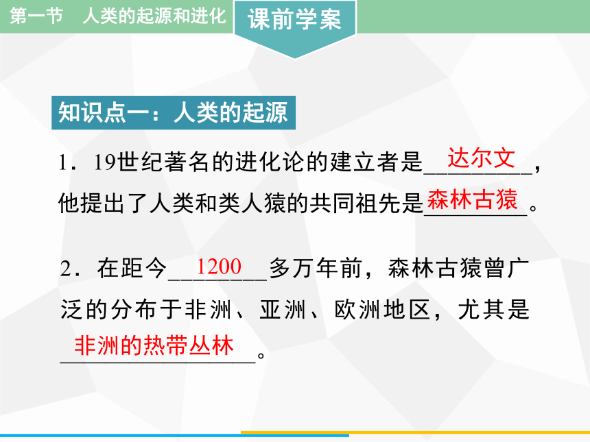 人教版版七年级下册生物第一章 第一节  人类的起源和进化课件 （41张PPT）