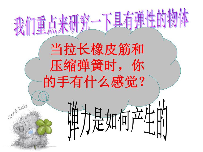 鲁教版八年级物理下册第六章第二节弹力弹簧测力计课件