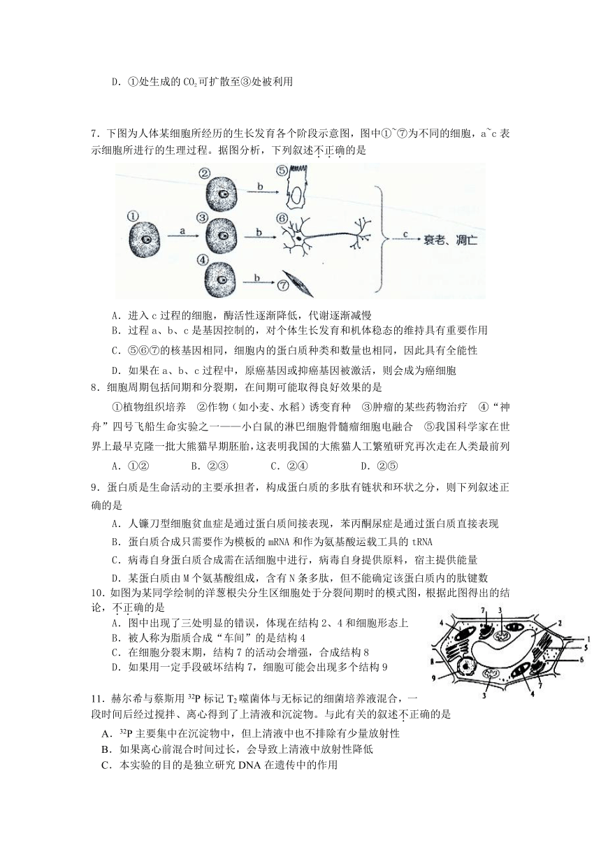 湖南省株洲市二中2013届高三第五次月考生物试题