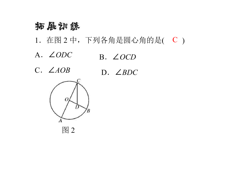 人教版数学九年级上册24.1.3弧、弦、圆心角课件（共19 张ppt）