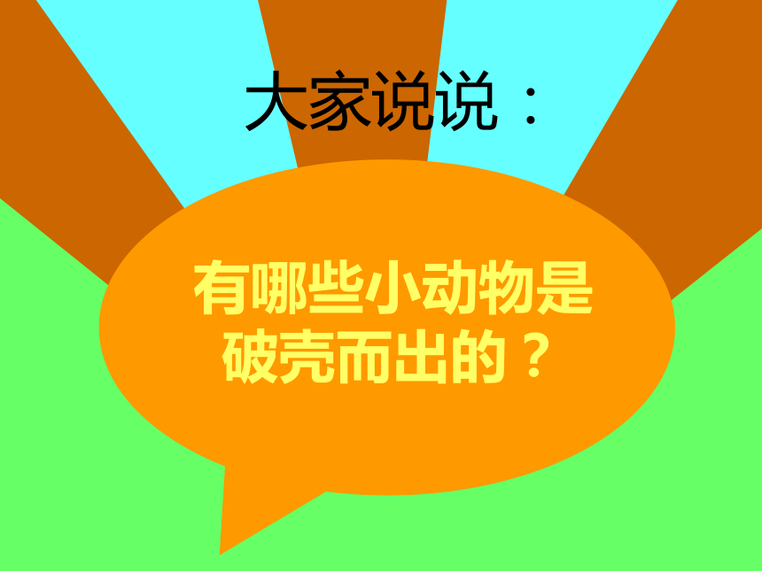 美术一年级下人美版3出壳了课件（31张）