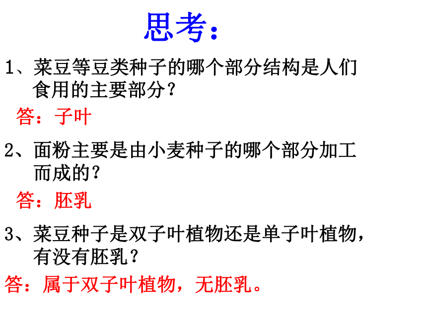 科学三年级下苏教版2植物的一生课件6