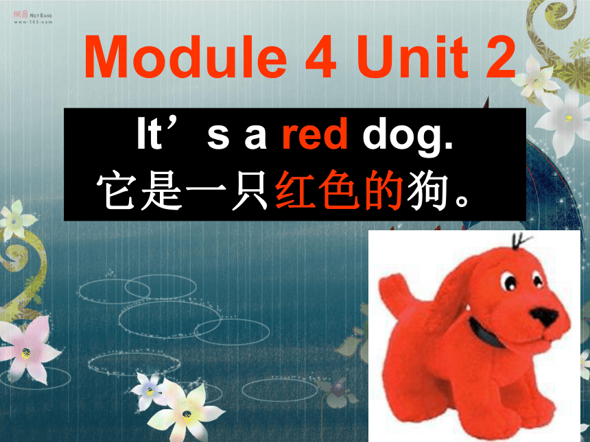 Module 4 Unit 2 It’s a red dog 课件（共25张ppt）