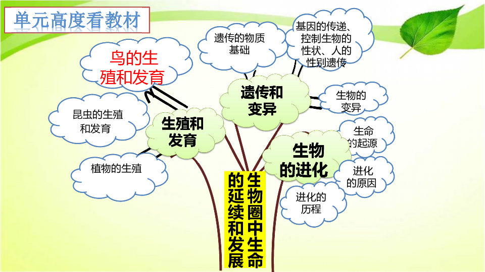 《鳥類的生殖和發育》說課課件(共32張ppt)