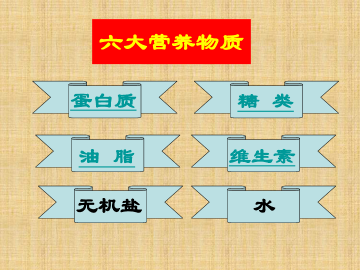 第一节 食物中的营养物质 课件（22张PPT）