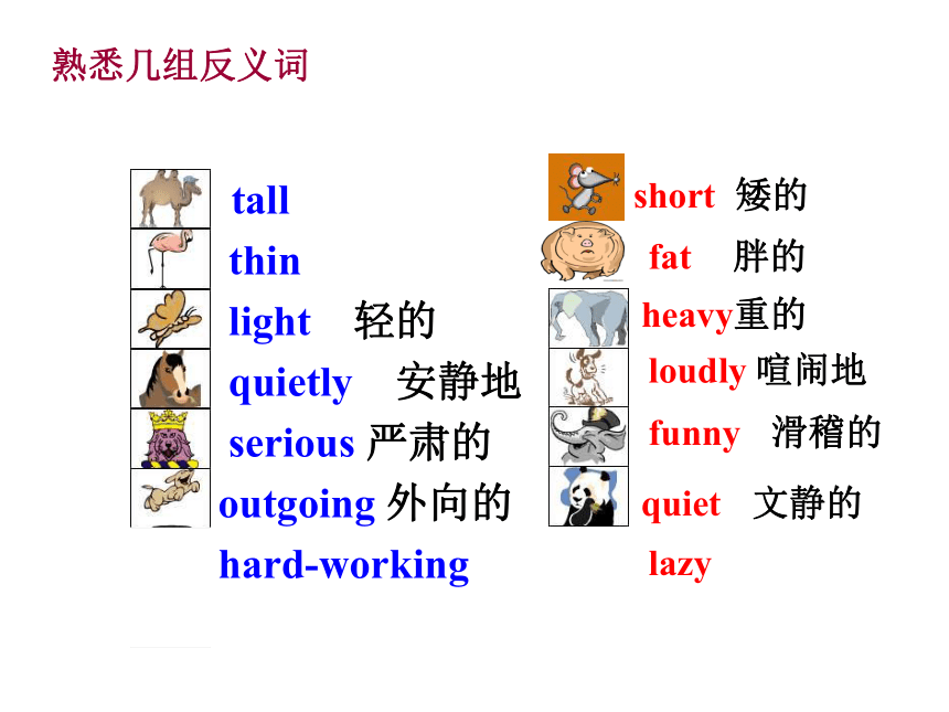 Unit 3 I'm more outgoing than my sister. Section A 1a-1c 课件28张