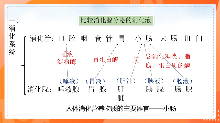 82食物的消化和營養物質的吸收課件共28張ppt