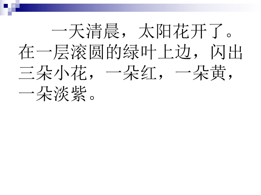 鄂教版六年级上册种下一片太阳花课件