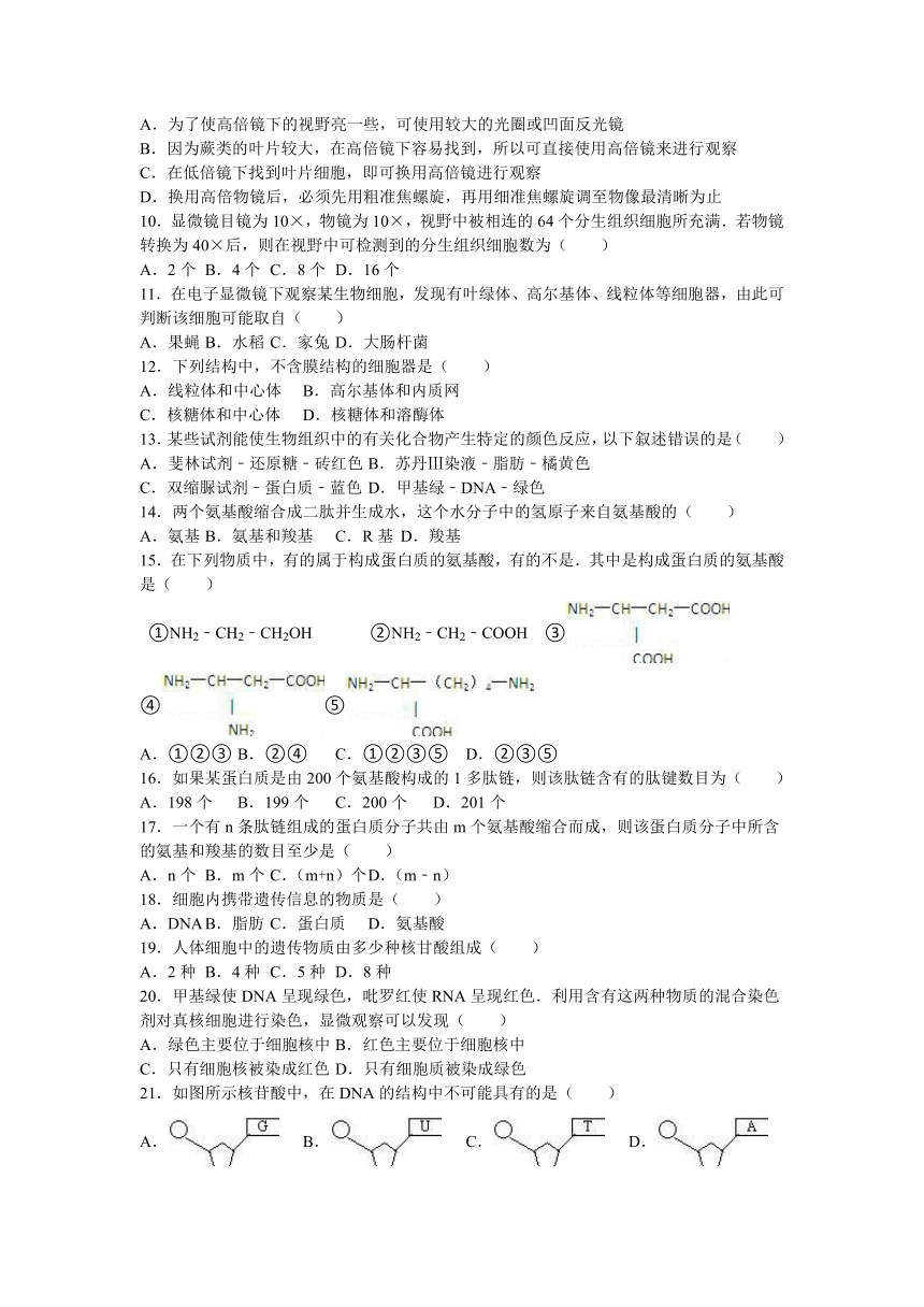 陕西省延安市志丹高中2016-2017学年高一（上）期中生物试卷（解析版）