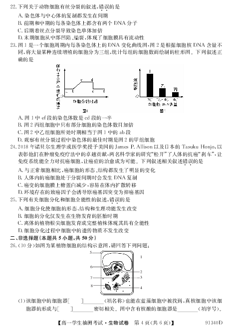 辽宁省凌源市高中2018-2019学年高一下学期3月抽测生物试卷（PDF版）