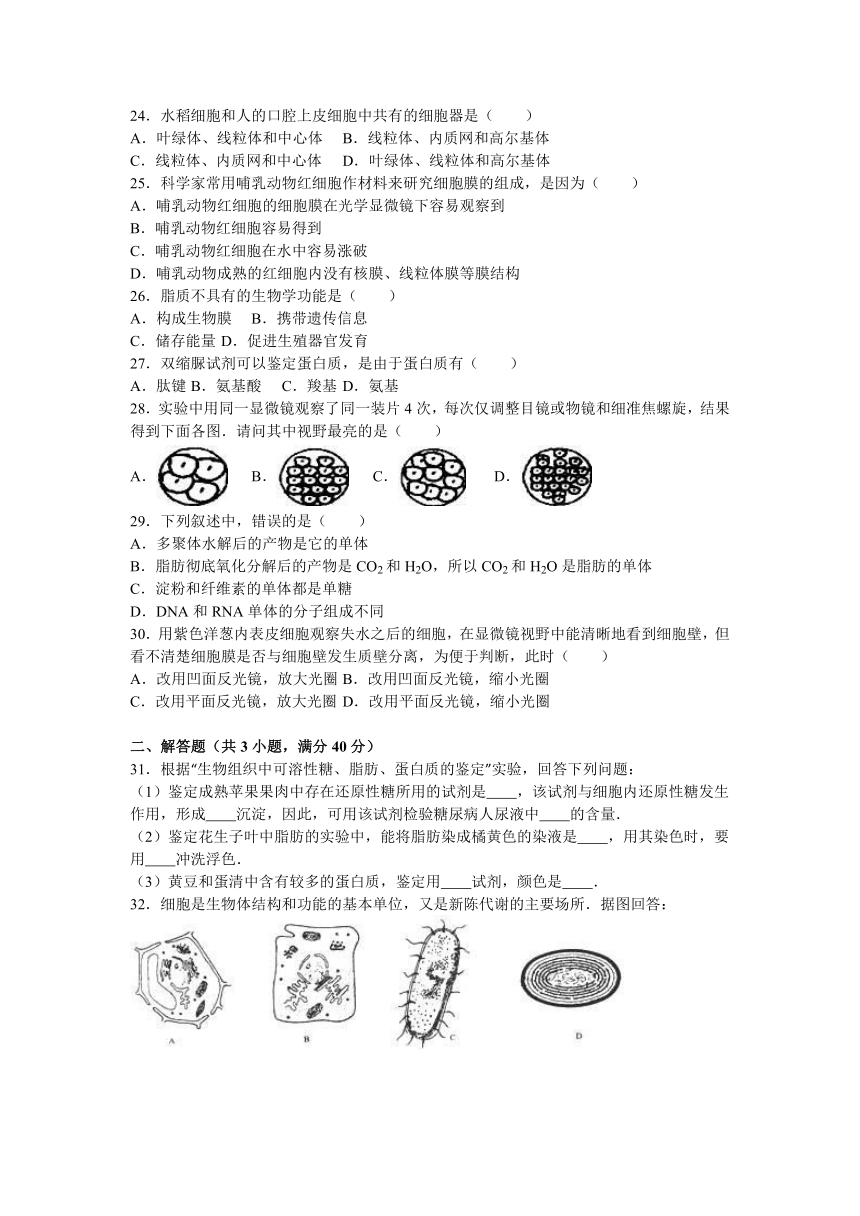 陕西省延安市黄陵中学2016-2017学年高一（上）第四次月考生物试卷（重点班）（解析版）