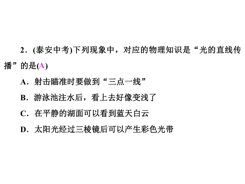 人教版物理八年级上册期末复习小专题（五） 光现象辨析课件（11张课件）