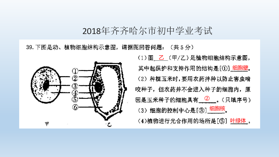 人教版生物中考专项训练-识图作答课件(共39张PPT)