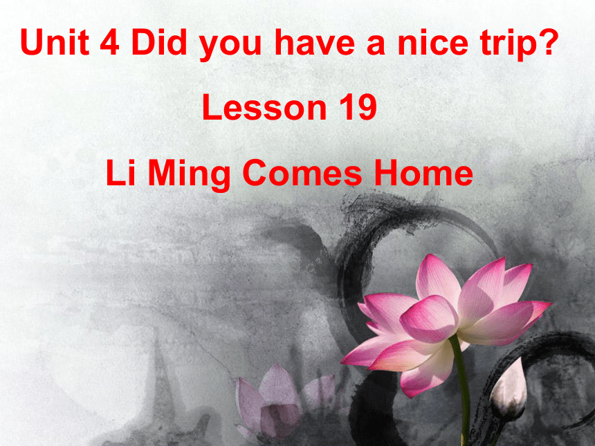 Unit 4 Did You Have a Nice Trip Lesson 19 Li Ming Comes Home 课件