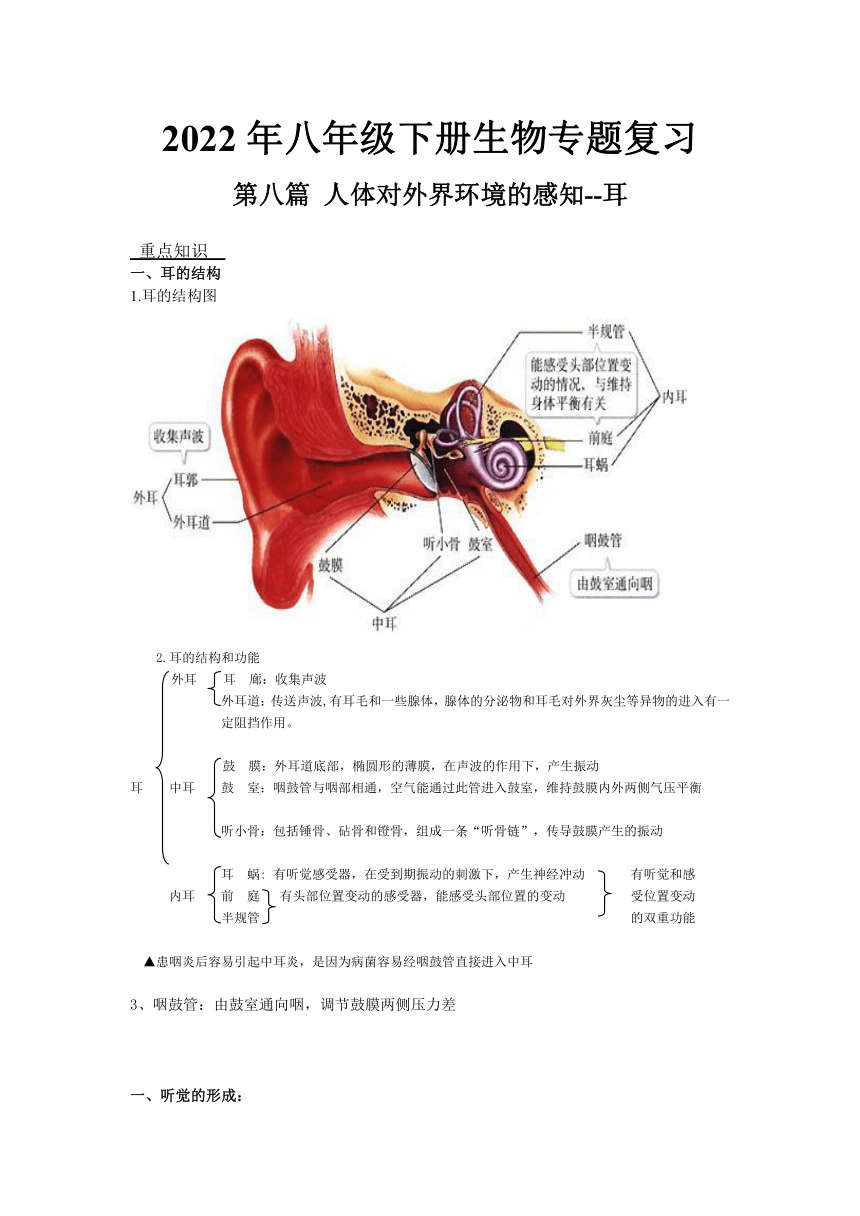 2022年八年级下册生物专题复习人体对外界环境的感知耳学案无答案